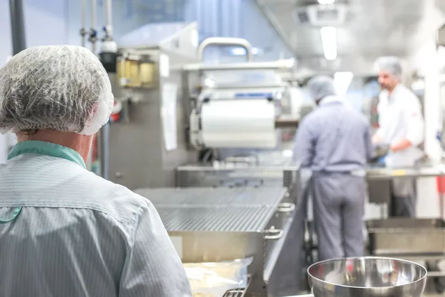big kitchen, kitchen work, kitchen, production, peel potatoes, gastronomy, preparation, food, catering, caterers, canteen kitchen, meals, cooking, cook, hair net, production, production, catering, catering, catering, catering, catering, hair net, hair net. Software reviewed against what a busy catering kitchen needs