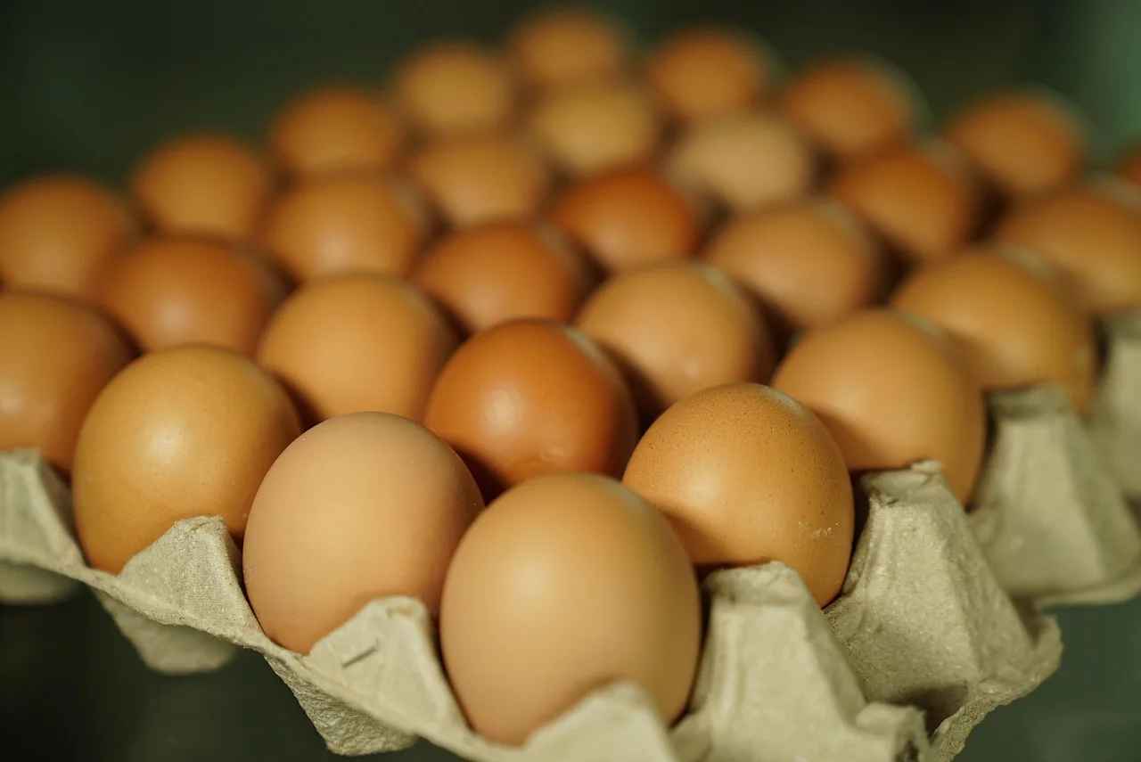 eggs, egg shells, tray, food, catering, ingredients. Catering guide to food safety certification budgeting