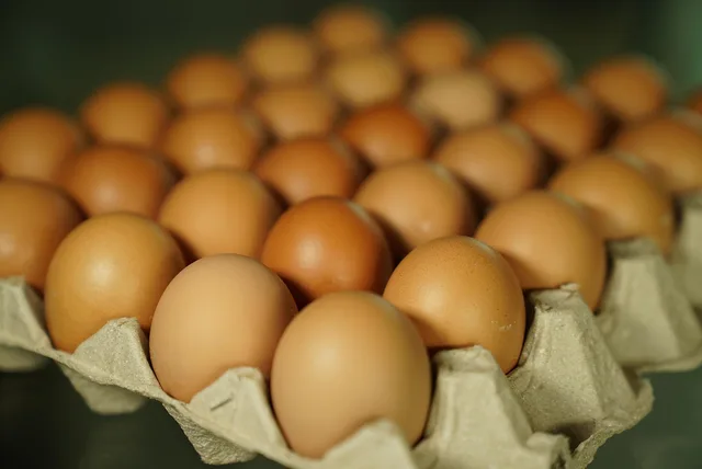 eggs, egg shells, tray, food, catering, ingredients. Catering guide to food safety certification budgeting